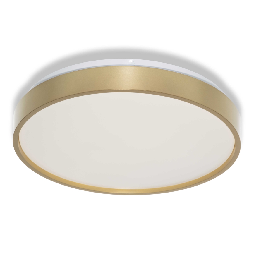 Osram - Φωτιστικό οροφής LED CEILING LUXO LED/18W/230V Ø 32 εκ. χρυσό