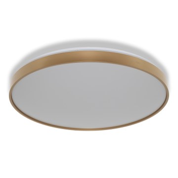 Osram - Φωτιστικό οροφής LED CEILING LUXO LED/60W/230V Ø 56 cm, χρυσό