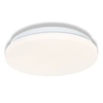 Osram - Φωτιστικό οροφής LED για μπάνιο CEILING ROUND LED/12W/230V 6500K Ø 26 cm IP44 λευκό