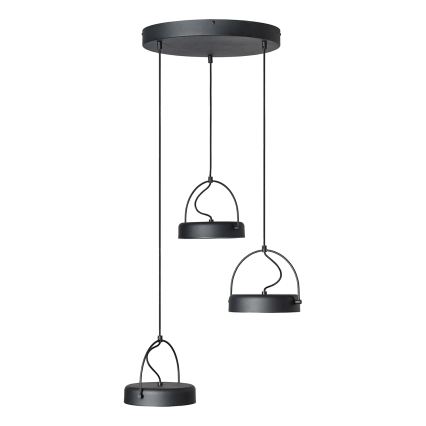 Osram - Κρεμαστό φωτιστικό LED με σύρμα ανάρτησης DECOR PUCK 3xLED/12W/230V CRI 90 μαύρο