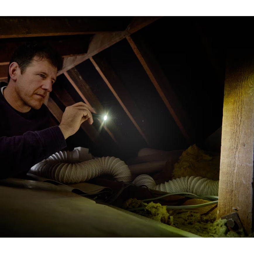 Osram - Ρυθμιζόμενος φακός LED LEDINSPECT TORCH 250 ESSENTIAL LED/2W/2xAAA IP44