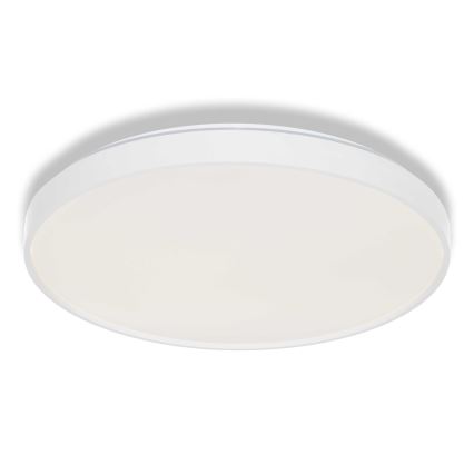 Osram - LED φωτιστικό οροφής CEILING LUXO LED/36W/230V διάμ. 49 cm λευκό