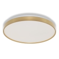 Osram - LED φωτιστικό οροφής CEILING LUXO LED/36W/230V διάμετρος 49 cm χρυσό