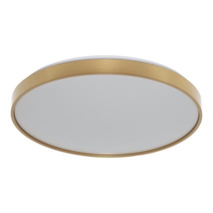 Osram - LED φωτιστικό οροφής CEILING LUXO LED/36W/230V διάμετρος 49 cm χρυσό
