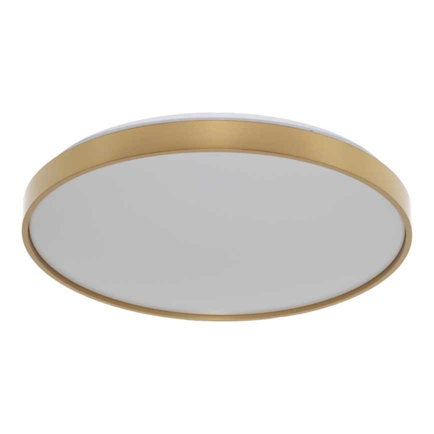 Osram - LED φωτιστικό οροφής CEILING LUXO LED/36W/230V διάμετρος 49 cm χρυσό