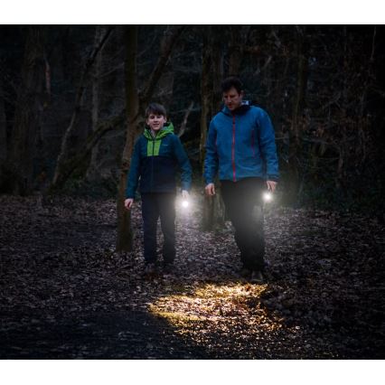 Osram - Ρυθμιζόμενος φορητός φακός LED LEDINSPECT TORCH 350 ESSENTIAL LED/4W/2xAAA IP44