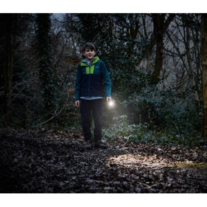 Osram - Ρυθμιζόμενος φορητός φακός LED LEDINSPECT TORCH 350 ESSENTIAL LED/4W/2xAAA IP44