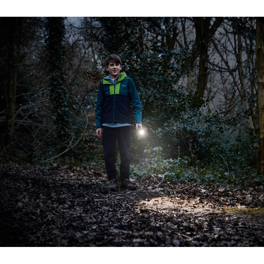 Osram - Ρυθμιζόμενος φορητός φακός LED LEDINSPECT TORCH 350 ESSENTIAL LED/4W/2xAAA IP44