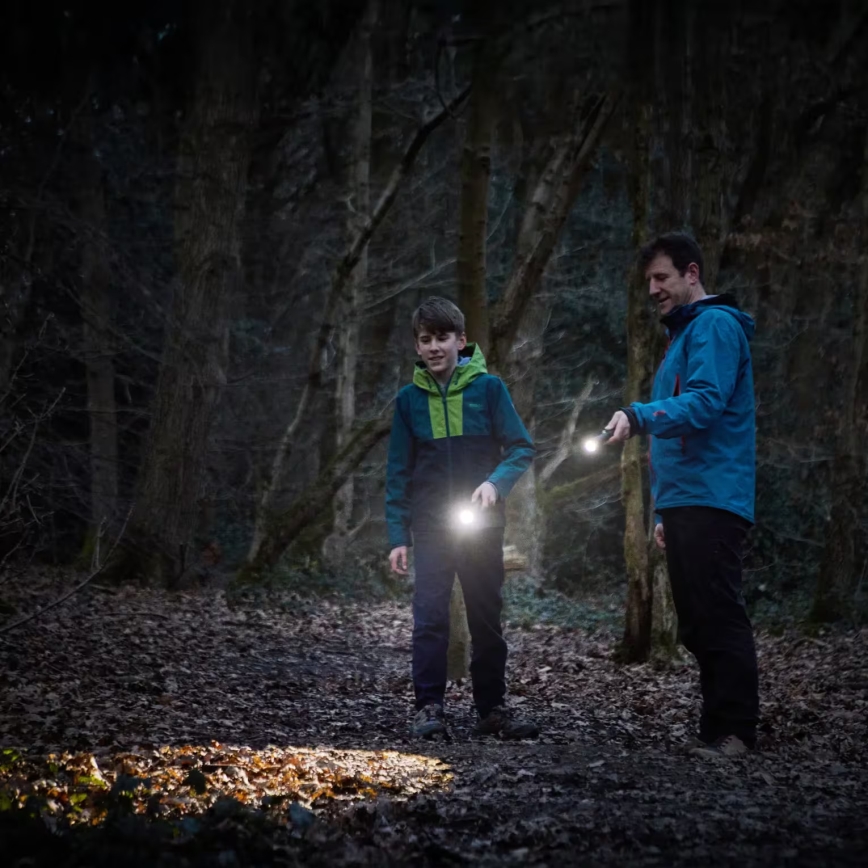 Osram - Φακός LED με ρύθμιση φωτεινότητας LEDINSPECT TORCH 450 ESSENTIAL LED/6W/3xAAA IP44