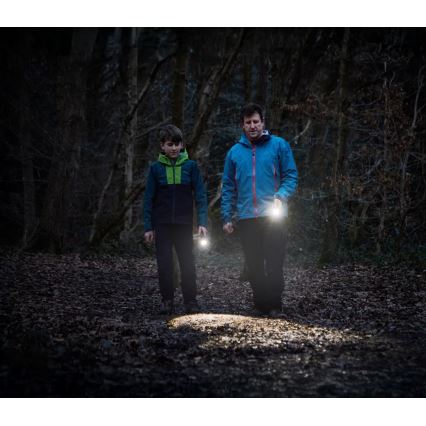 Osram - Φακός LED με ρύθμιση φωτεινότητας LEDINSPECT TORCH 450 ESSENTIAL LED/6W/3xAAA IP44