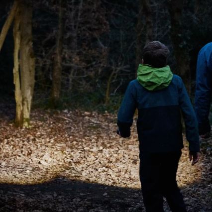 Osram - Φακός LED με ρύθμιση φωτεινότητας LEDINSPECT TORCH 450 ESSENTIAL LED/6W/3xAAA IP44