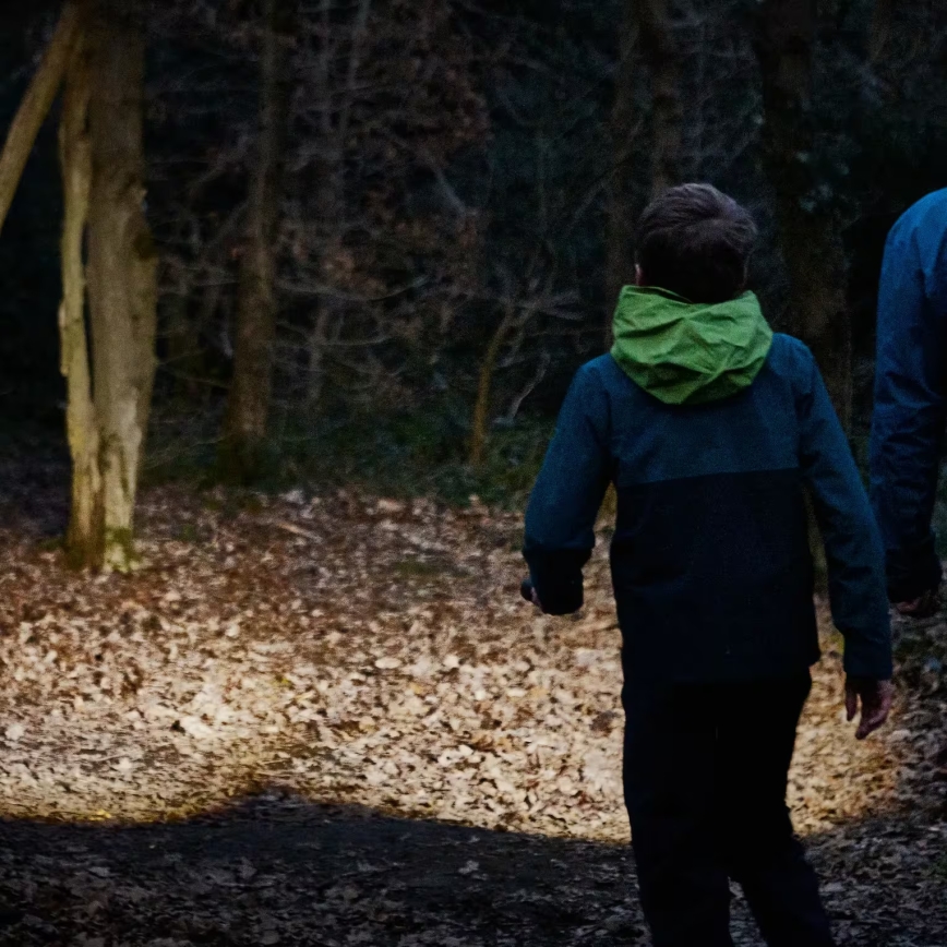 Osram - Φακός LED με ρύθμιση φωτεινότητας LEDINSPECT TORCH 450 ESSENTIAL LED/6W/3xAAA IP44