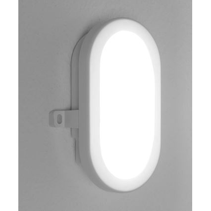 Osram - Επιτοίχιο φωτιστικό εξωτερικού χώρου LED BULKHEAD LED/6W/230V IP54 λευκό