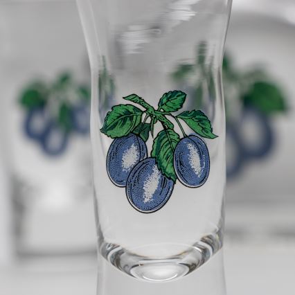 Σετ 1x γυάλινο μπουκάλι και 2x σφηνοπότηρα διάφανα με μοτίβο δαμάσκηνου