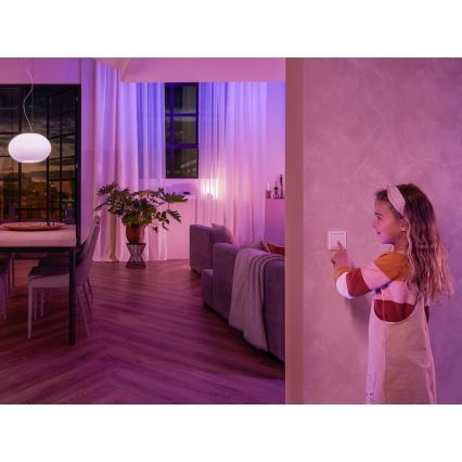 ΣΕΤ 2x Μονάδα διακόπτη τοίχου Philips Hue SWITCH