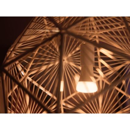 Σετ εκκίνησης Philips Hue WHITE AMBIANCE 2xE27/8W/230V + Hue Bridge και διακόπτης dimmer