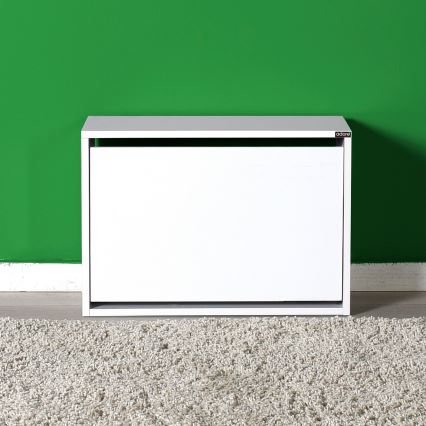 Παπουτσοθήκη 42x60 cm λευκή