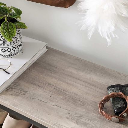 Παπουτσοθήκη DAVOR γκρι/μαύρο