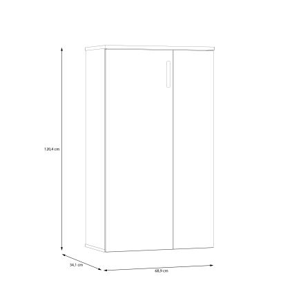 Παπουτσοθήκη ETON δρυς artisan/πράσινη