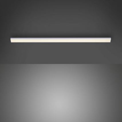 Paul Neuhaus 1125-21-A - LED Επέκταση φωτιστικού κάτω από ράφι AMON LED/6W/12/230V