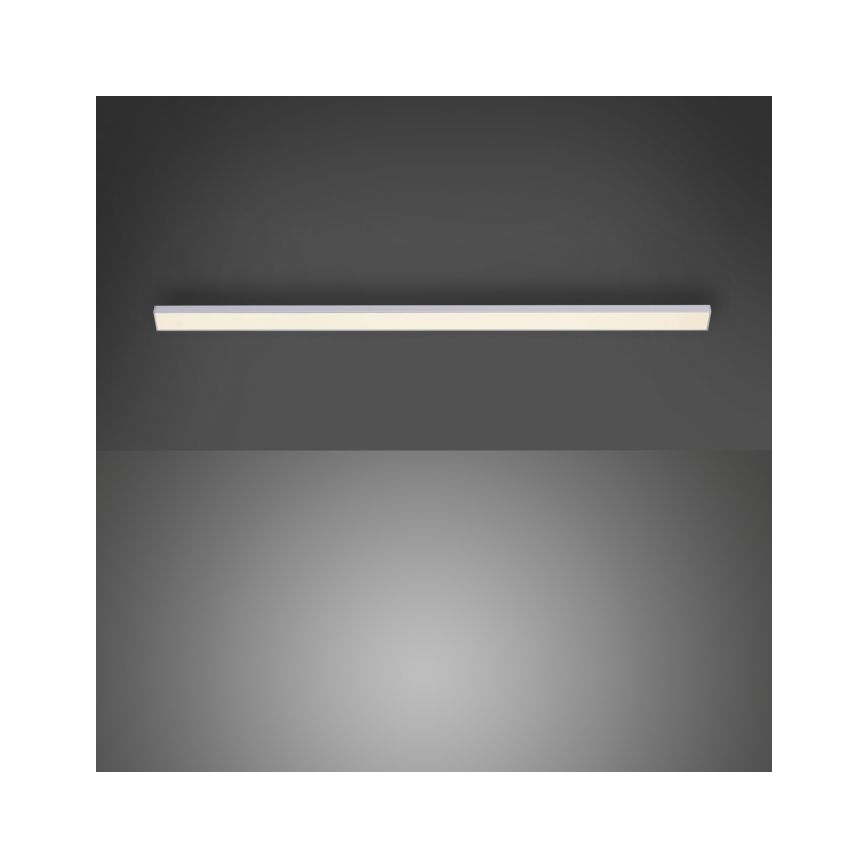 Paul Neuhaus 1125-21-A - LED Επέκταση φωτιστικού κάτω από ράφι AMON LED/6W/12/230V