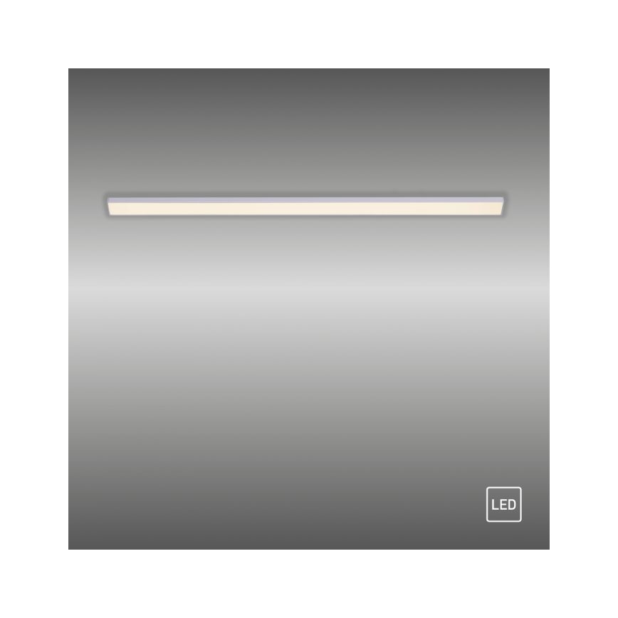 Paul Neuhaus 1125-21-A - LED Επέκταση φωτιστικού κάτω από ράφι AMON LED/6W/12/230V