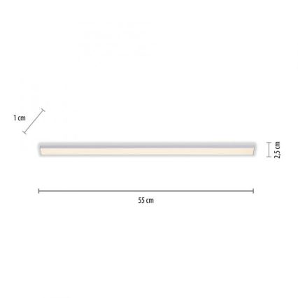Paul Neuhaus 1125-21-A - LED Επέκταση φωτιστικού κάτω από ράφι AMON LED/6W/12/230V