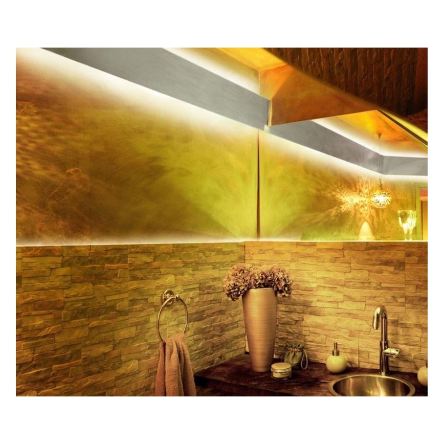 Paul Neuhaus 1205-70 - LED RGB Dimmable ταινία TEANIA 10m LED/30W/12/230V + τηλεχειριστήριο