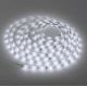 Paul Neuhaus 1205-70 - LED RGB Dimmable ταινία TEANIA 10m LED/30W/12/230V + τηλεχειριστήριο