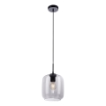 Paul Neuhaus 2002-25 - Κρεμαστό φωτιστικό οροφής SHITAKE 1xE27/10W/230V διάμετρος 20 cm φιμέ
