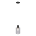 Paul Neuhaus 2006-25 - Κρεμαστό φωτιστικό οροφής BOLETUS 1xE27/10W/230V διάμετρος 14 cm γκρι
