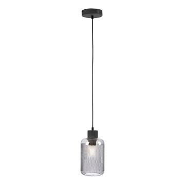 Paul Neuhaus 2006-25 - Κρεμαστό φωτιστικό οροφής BOLETUS 1xE27/10W/230V διάμετρος 14 cm γκρι