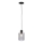 Paul Neuhaus 2006-25 - Κρεμαστό φωτιστικό οροφής BOLETUS 1xE27/10W/230V διάμετρος 14 cm γκρι
