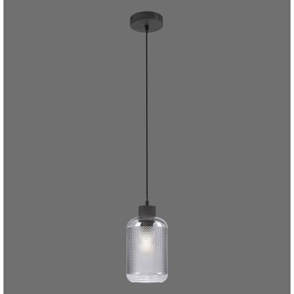 Paul Neuhaus 2006-25 - Κρεμαστό φωτιστικό οροφής BOLETUS 1xE27/10W/230V διάμετρος 14 cm γκρι