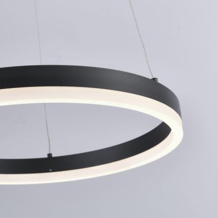 Paul Neuhaus 2381-13 - LED Dimmable πολύφωτο κρεμαστό TITUS LED/28W/230V