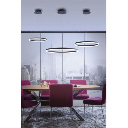 Paul Neuhaus 2381-13 - LED Dimmable πολύφωτο κρεμαστό TITUS LED/28W/230V