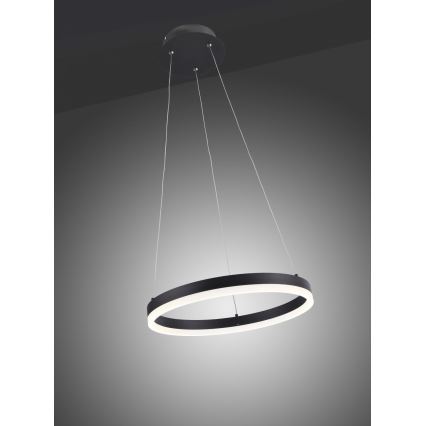 Paul Neuhaus 2381-13 - LED Dimmable πολύφωτο κρεμαστό TITUS LED/28W/230V