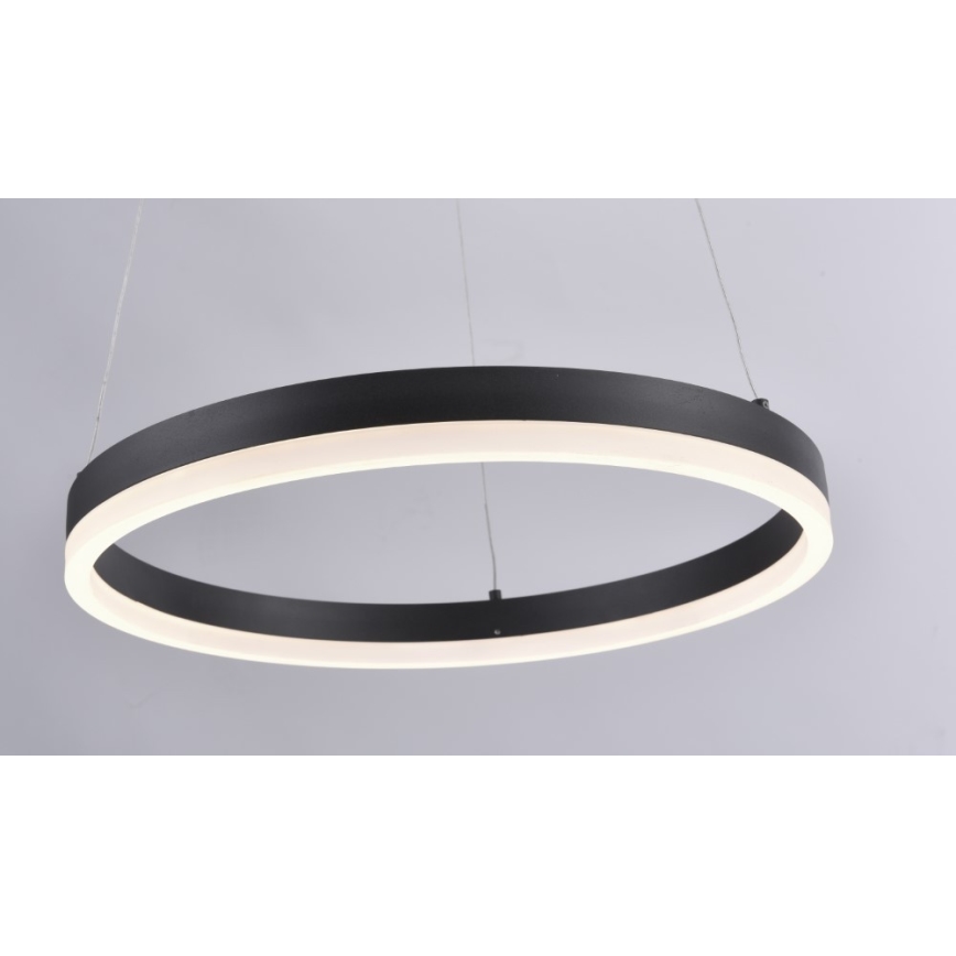 Paul Neuhaus 2381-13 - LED Dimmable πολύφωτο κρεμαστό TITUS LED/28W/230V