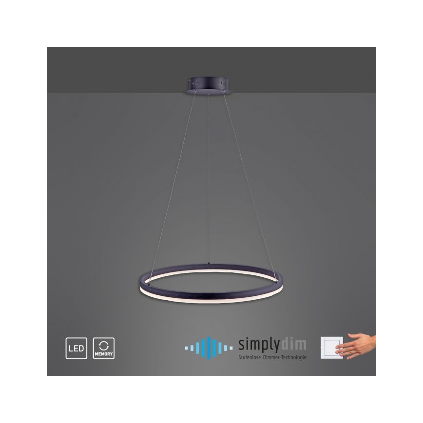 Paul Neuhaus 2382-13 - LED Dimmable πολύφωτο κρεμαστό TITUS LED/38,5W/230V