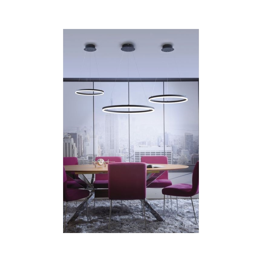 Paul Neuhaus 2382-13 - LED Dimmable πολύφωτο κρεμαστό TITUS LED/38,5W/230V