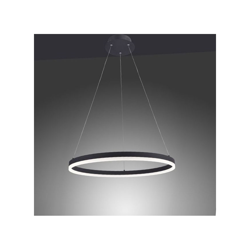 Paul Neuhaus 2382-13 - LED Dimmable πολύφωτο κρεμαστό TITUS LED/38,5W/230V