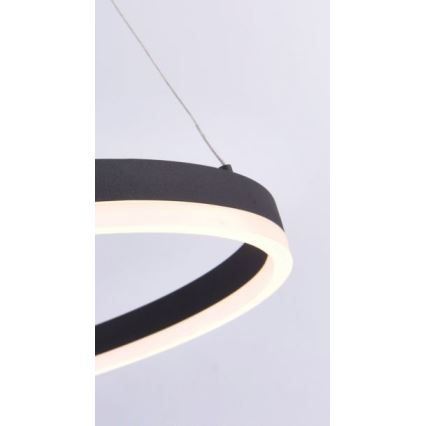 Paul Neuhaus 2382-13 - LED Dimmable πολύφωτο κρεμαστό TITUS LED/38,5W/230V