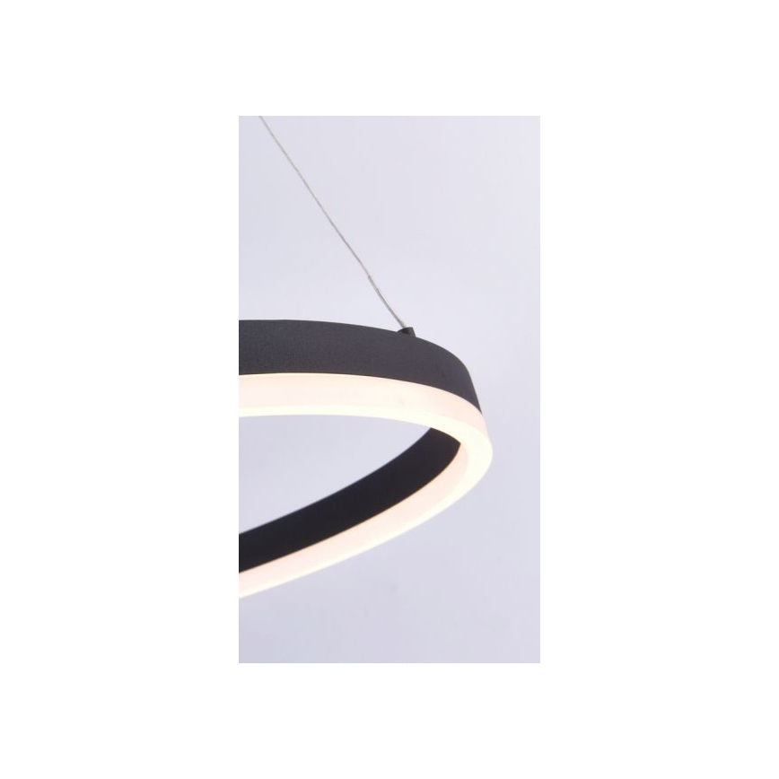 Paul Neuhaus 2382-13 - LED Dimmable πολύφωτο κρεμαστό TITUS LED/38,5W/230V