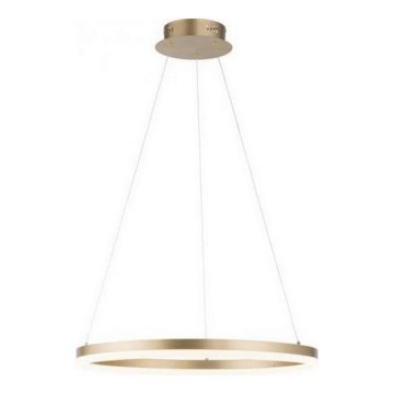 Paul Neuhaus 2382-60 - Led Dimmable κρεμαστό φωτιστικό οροφής TITUS LED/38,5W/230V