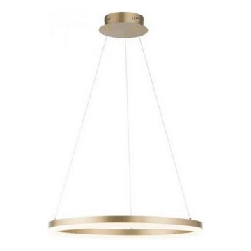 Paul Neuhaus 2382-60 - Led Dimmable κρεμαστό φωτιστικό οροφής TITUS LED/38,5W/230V