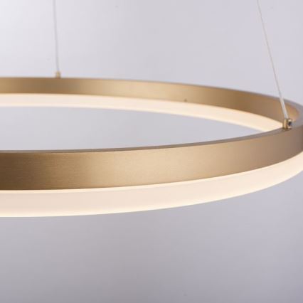 Paul Neuhaus 2382-60 - Led Dimmable κρεμαστό φωτιστικό οροφής TITUS LED/38,5W/230V