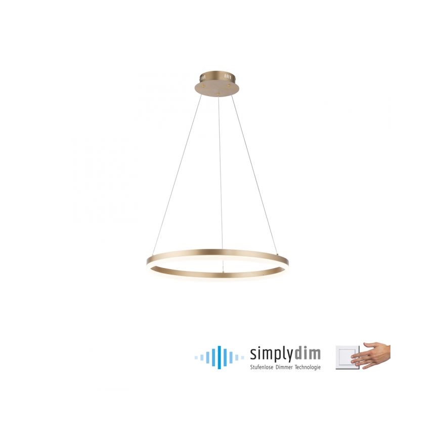 Paul Neuhaus 2382-60 - Led Dimmable κρεμαστό φωτιστικό οροφής TITUS LED/38,5W/230V