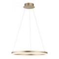 Paul Neuhaus 2382-60 - Led Dimmable κρεμαστό φωτιστικό οροφής TITUS LED/38,5W/230V