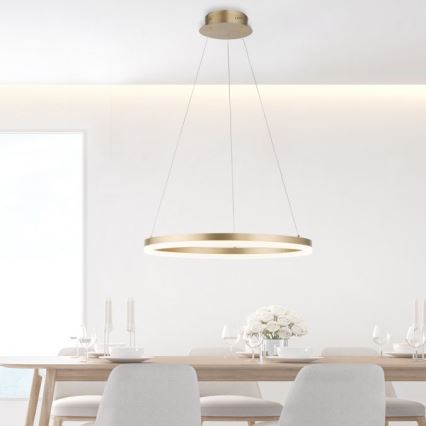 Paul Neuhaus 2382-60 - Led Dimmable κρεμαστό φωτιστικό οροφής TITUS LED/38,5W/230V