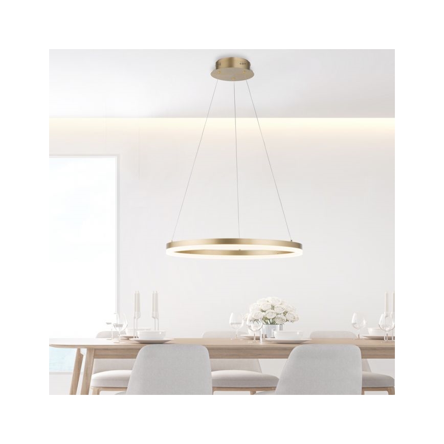 Paul Neuhaus 2382-60 - Led Dimmable κρεμαστό φωτιστικό οροφής TITUS LED/38,5W/230V